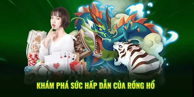 Khám phá sức hấp dẫn của Rồng Hổ