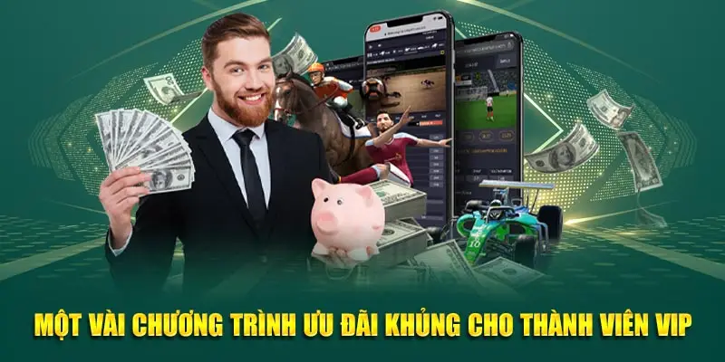 Một vài chương trình ưu đãi khủng cho thành viên VIP